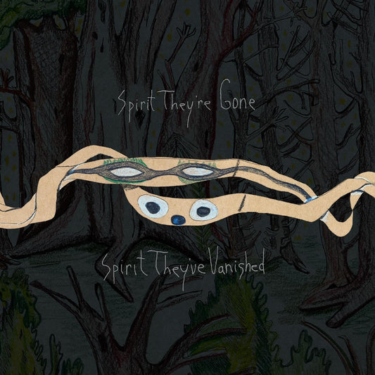 Spirit They're Gone, Spirit They've Vanished (Remastered 2023) | Mint (M) Mint (M) Get Cheap Vinyl