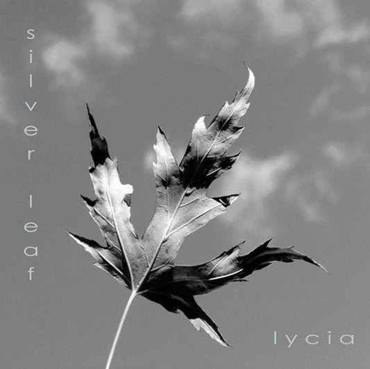 Low Crimes / Silver Leaf *GREY SWIRL*(VINYLY 7") | Mint (M) Mint (M) Get Cheap Vinyl