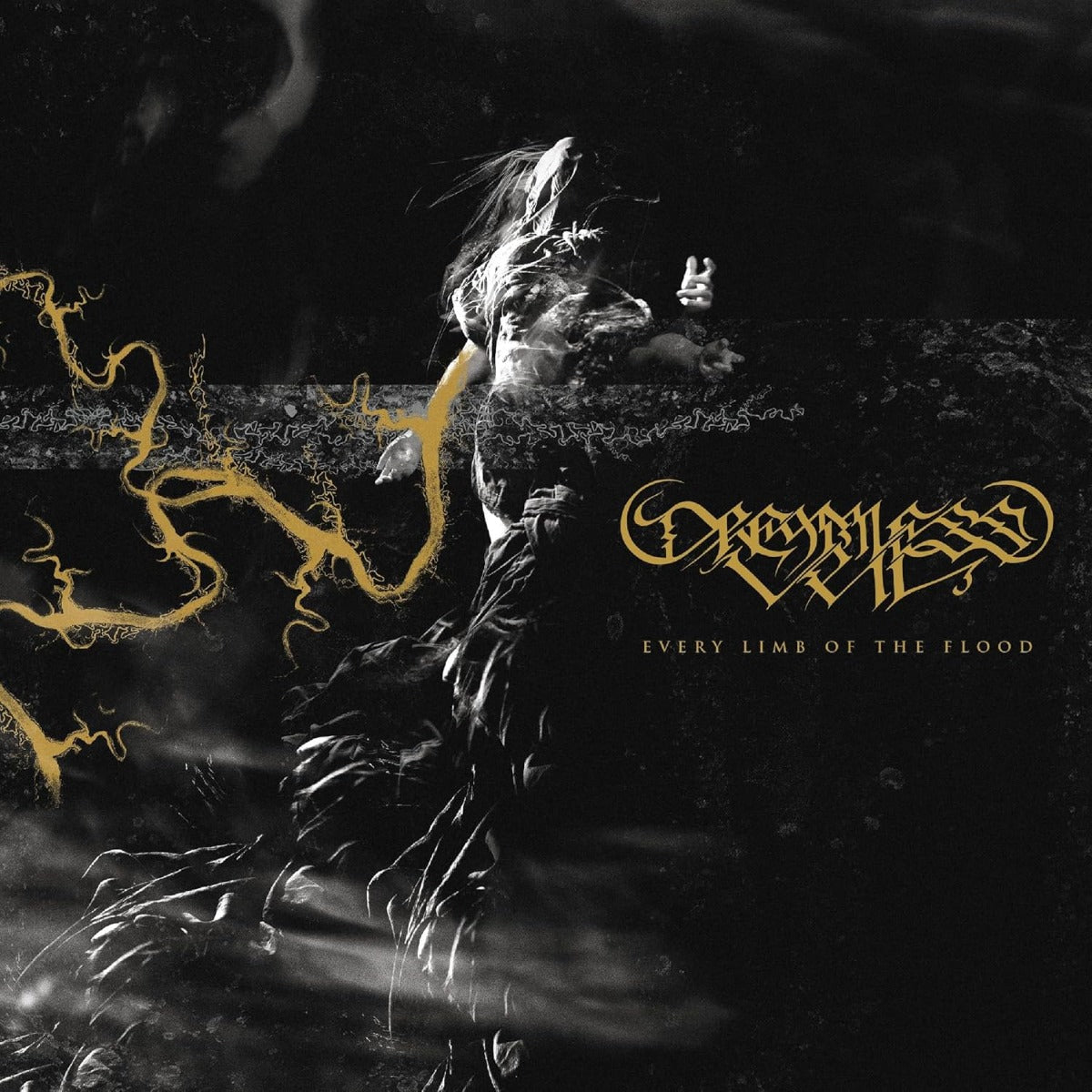 Every Limb Of The Flood (TRANSLUCENT GOLD VINYL) | Mint (M) Mint (M) Get Cheap Vinyl