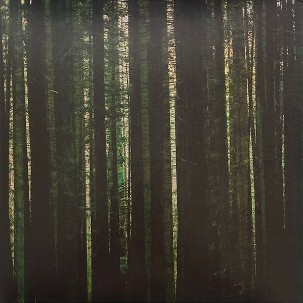 Evergreen (EVERGREEN MARBLE VINYL) | Mint (M) Mint (M) Get Cheap Vinyl