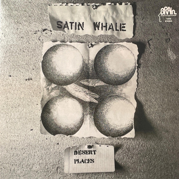 Desert Places (SILVER VINYL) | Mint (M) Mint (M) Get Cheap Vinyl