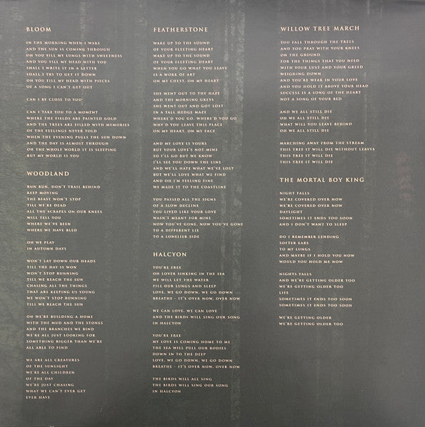 Evergreen (EVERGREEN MARBLE VINYL) | Mint (M) Mint (M) Get Cheap Vinyl