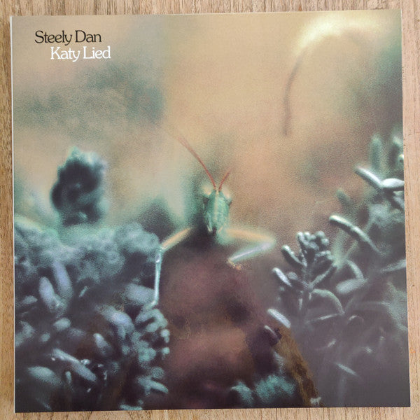 Katy Lied (AARP VINYL BOX SET) | Mint (M) Mint (M) Get Cheap Vinyl