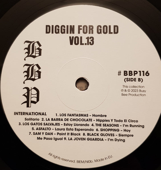 Diggin' For Gold Vol 13 (A Collection Of Demented 60' R&B/Punk & Mesmerizing Pop.) | Mint (M) Mint (M) Get Cheap Vinyl