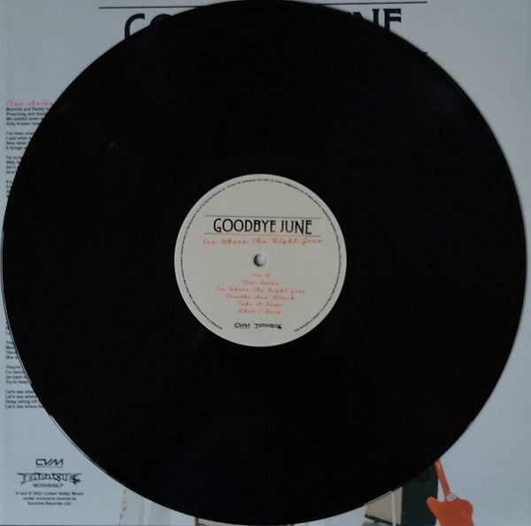 See Where The Night Goes | Mint (M) Mint (M) Get Cheap Vinyl