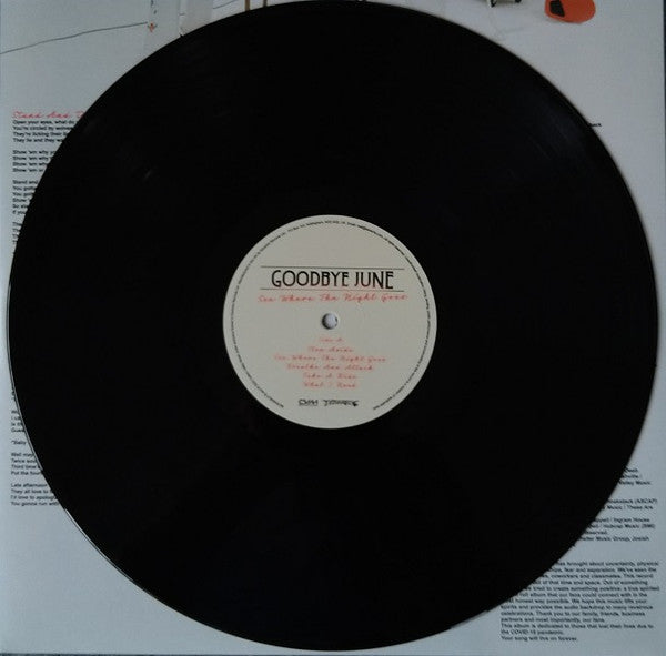 See Where The Night Goes | Mint (M) Mint (M) Get Cheap Vinyl
