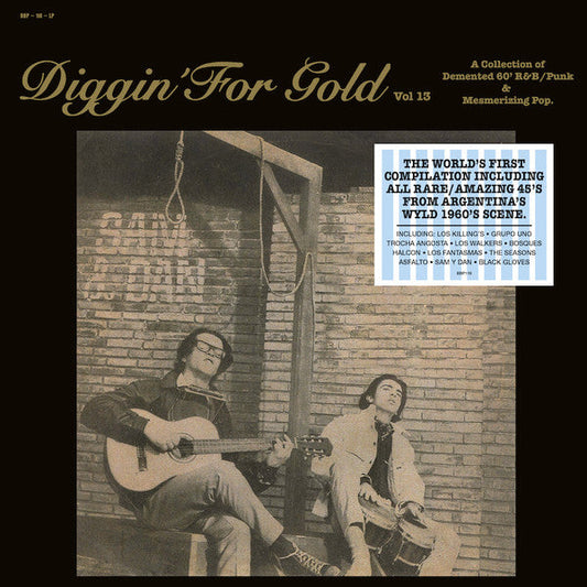 Diggin' For Gold Vol 13 (A Collection Of Demented 60' R&B/Punk & Mesmerizing Pop.) | Mint (M) Mint (M) Get Cheap Vinyl
