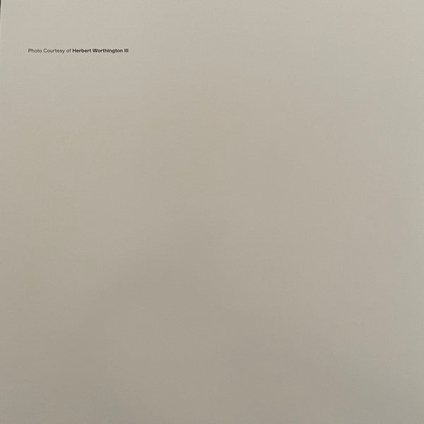 Bella Donna (BLUE VINYL - VMP) | Mint (M) Mint (M) Get Cheap Vinyl