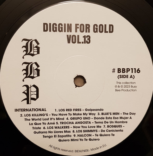 Diggin' For Gold Vol 13 (A Collection Of Demented 60' R&B/Punk & Mesmerizing Pop.) | Mint (M) Mint (M) Get Cheap Vinyl