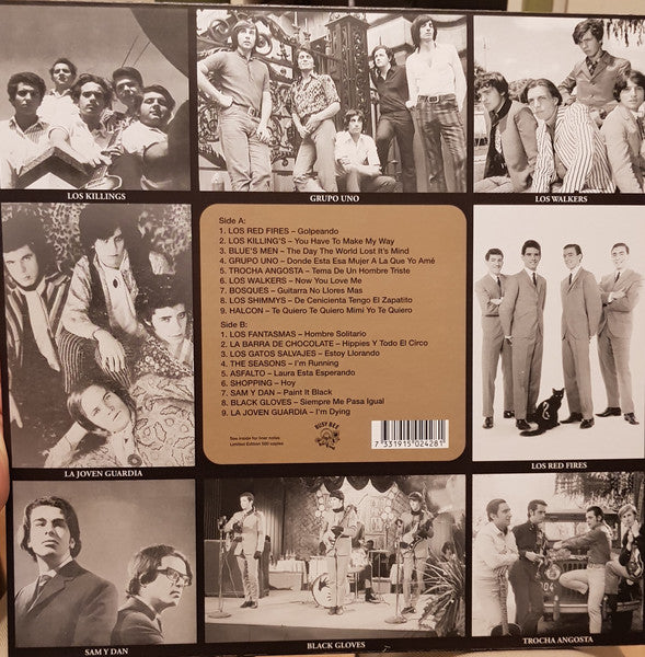 Diggin' For Gold Vol 13 (A Collection Of Demented 60' R&B/Punk & Mesmerizing Pop.) | Mint (M) Mint (M) Get Cheap Vinyl