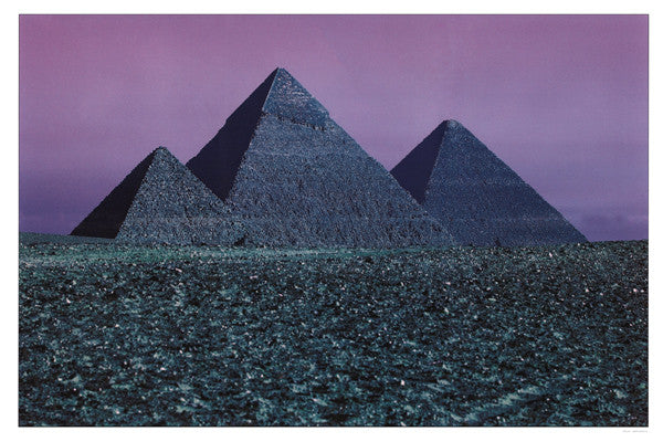 The Dark Side Of The Moon | Mint (M) Mint (M) Get Cheap Vinyl