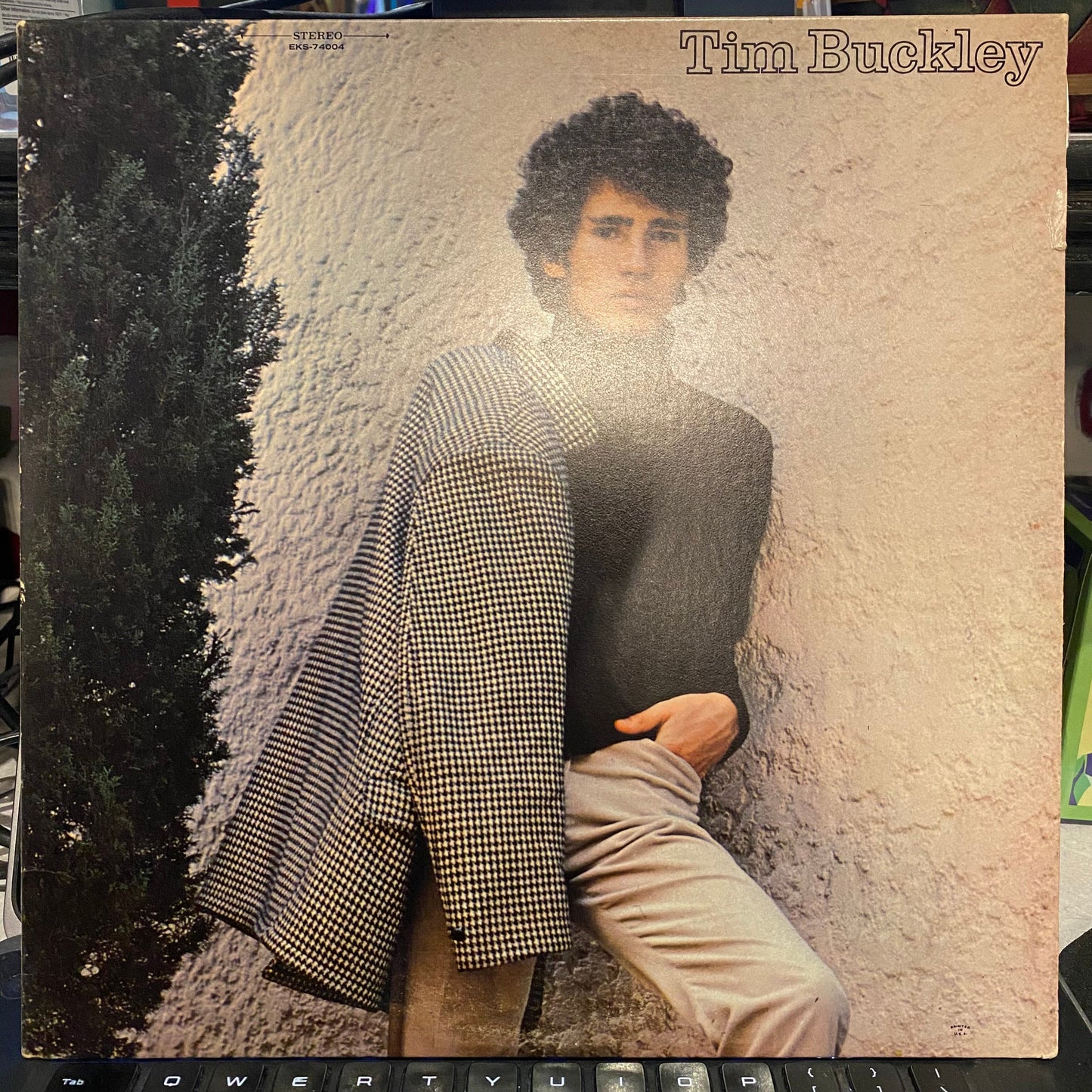 Tim Buckley | Excellent (EX) Excellent (EX) Get Cheap Vinyl