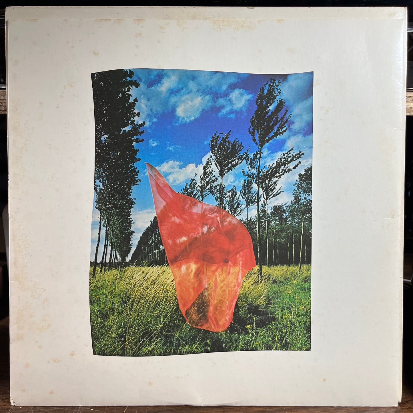 Wish You Were Here (VINYL) | Excellent+ (EX+) Excellent (EX) Get Cheap Vinyl