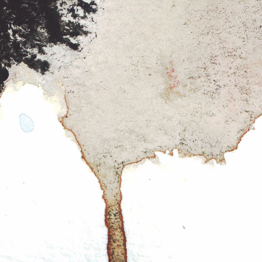 The Living Things / Von Trier Flakes | Excellent (EX) Near Mint (NM) Get Cheap Vinyl