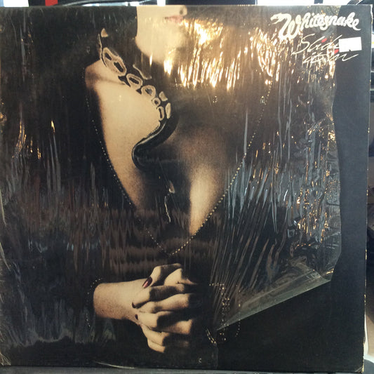 Slide It In (VINYL) | Excellent (EX) Excellent (EX) Get Cheap Vinyl