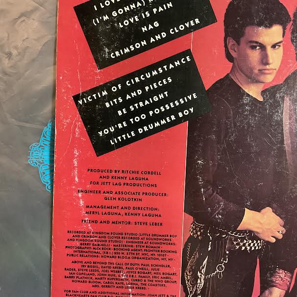 I Love Rock 'N Roll (VINYL) | Excellent (EX) Good Plus (G+) Get Cheap Vinyl