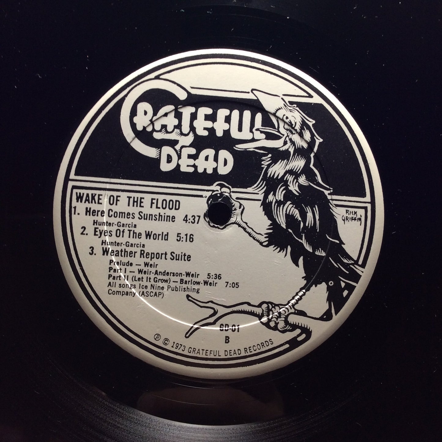 Wake Of The Flood (VINYL) | Excellent (EX) Excellent+ (EX+) Get Cheap Vinyl