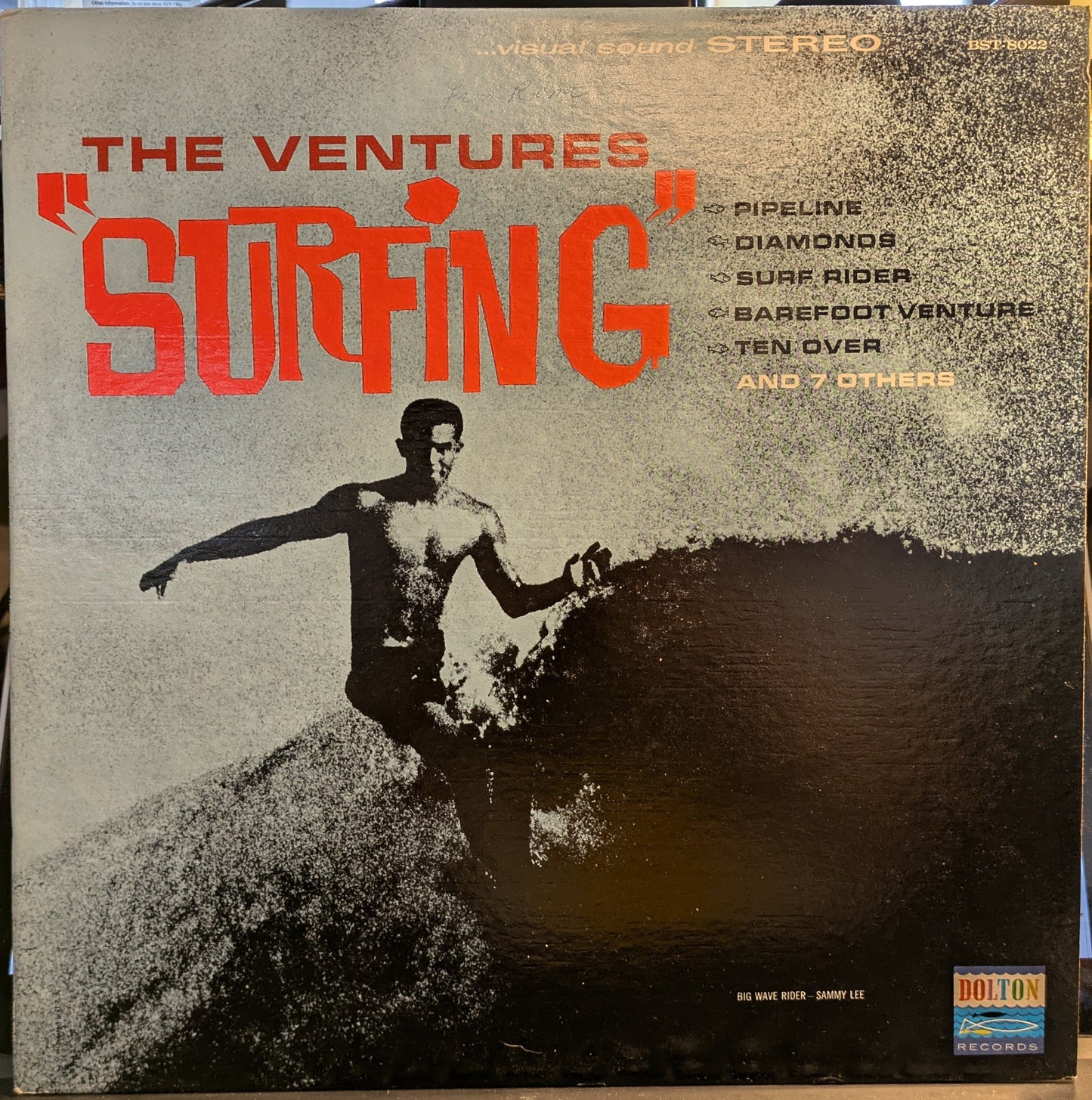 Surfing (VINYL) | Near Mint (NM) Near Mint (NM) Get Cheap Vinyl