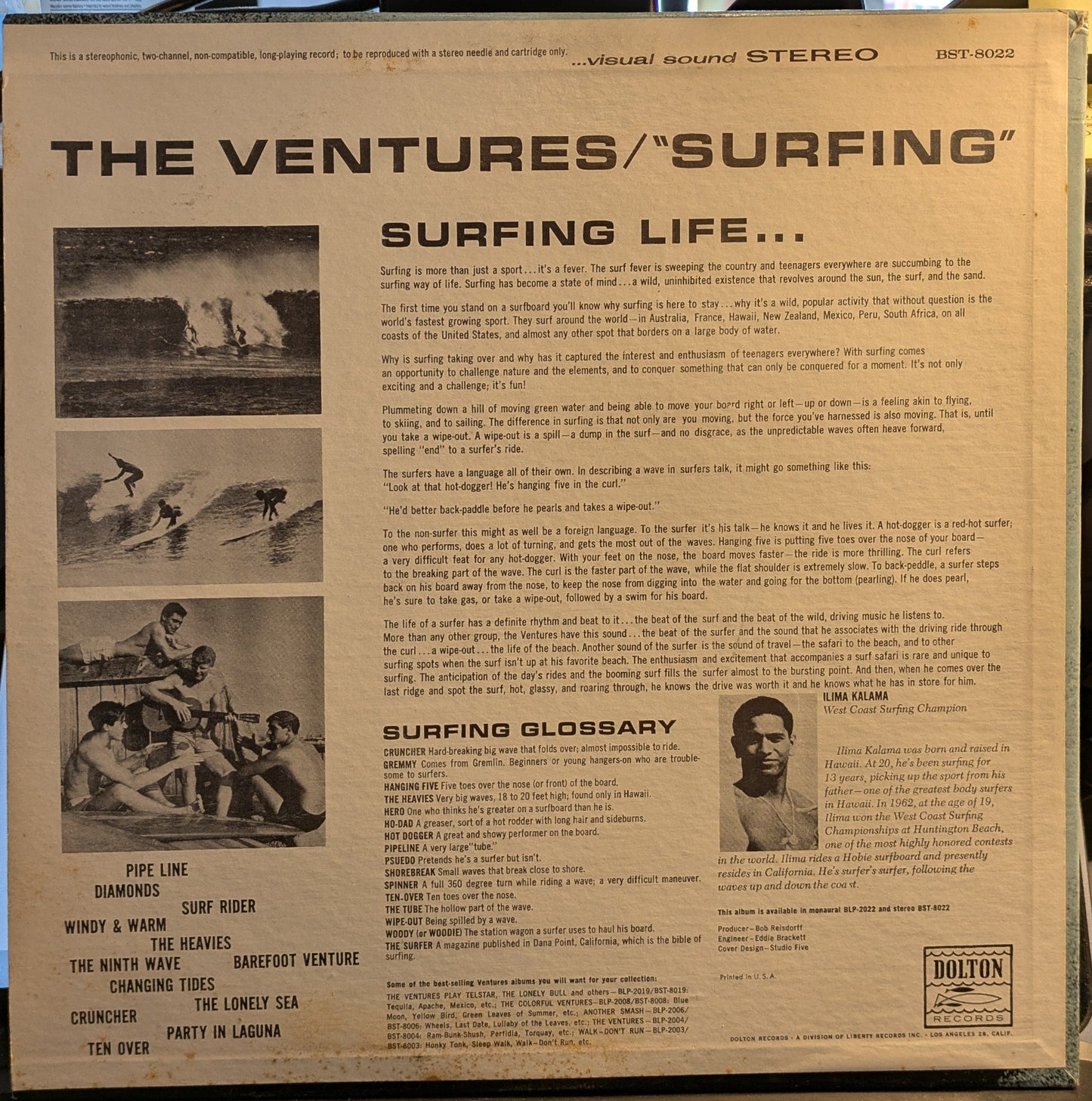 Surfing (VINYL) | Near Mint (NM) Near Mint (NM) Get Cheap Vinyl