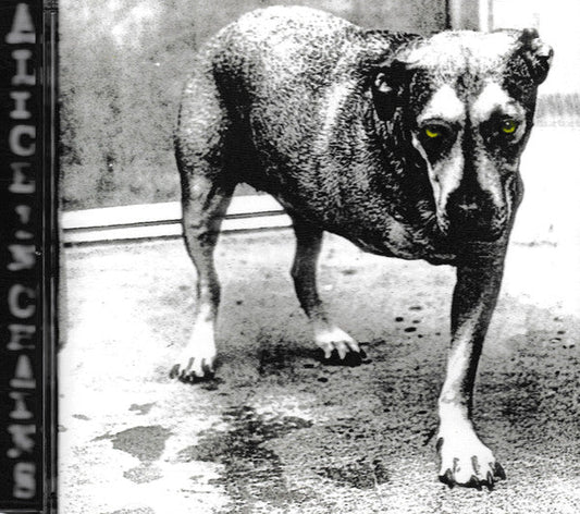 Alice In Chains | Near Mint (NM) Near Mint (NM) Get Cheap Vinyl