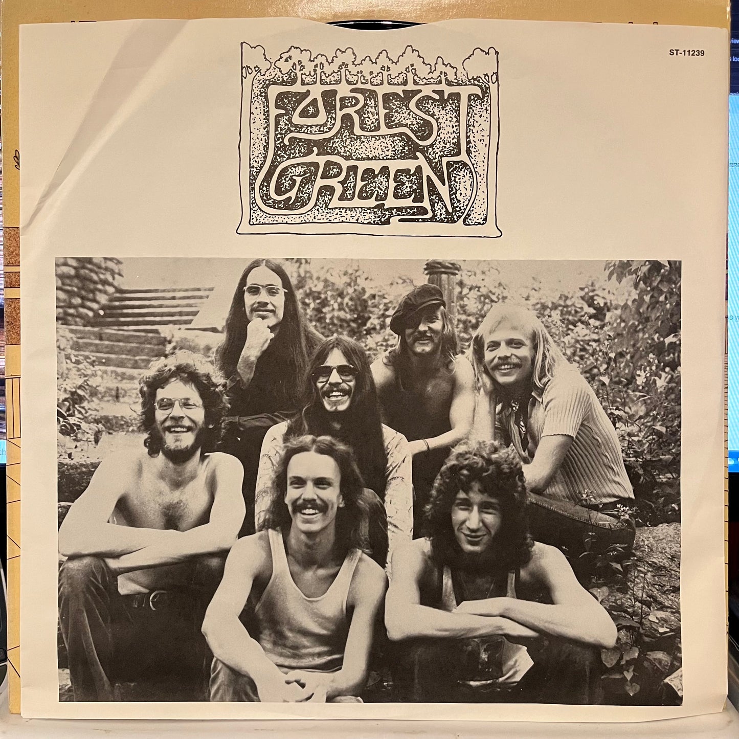 Forest Green | Near Mint (NM) Near Mint (NM) Get Cheap Vinyl