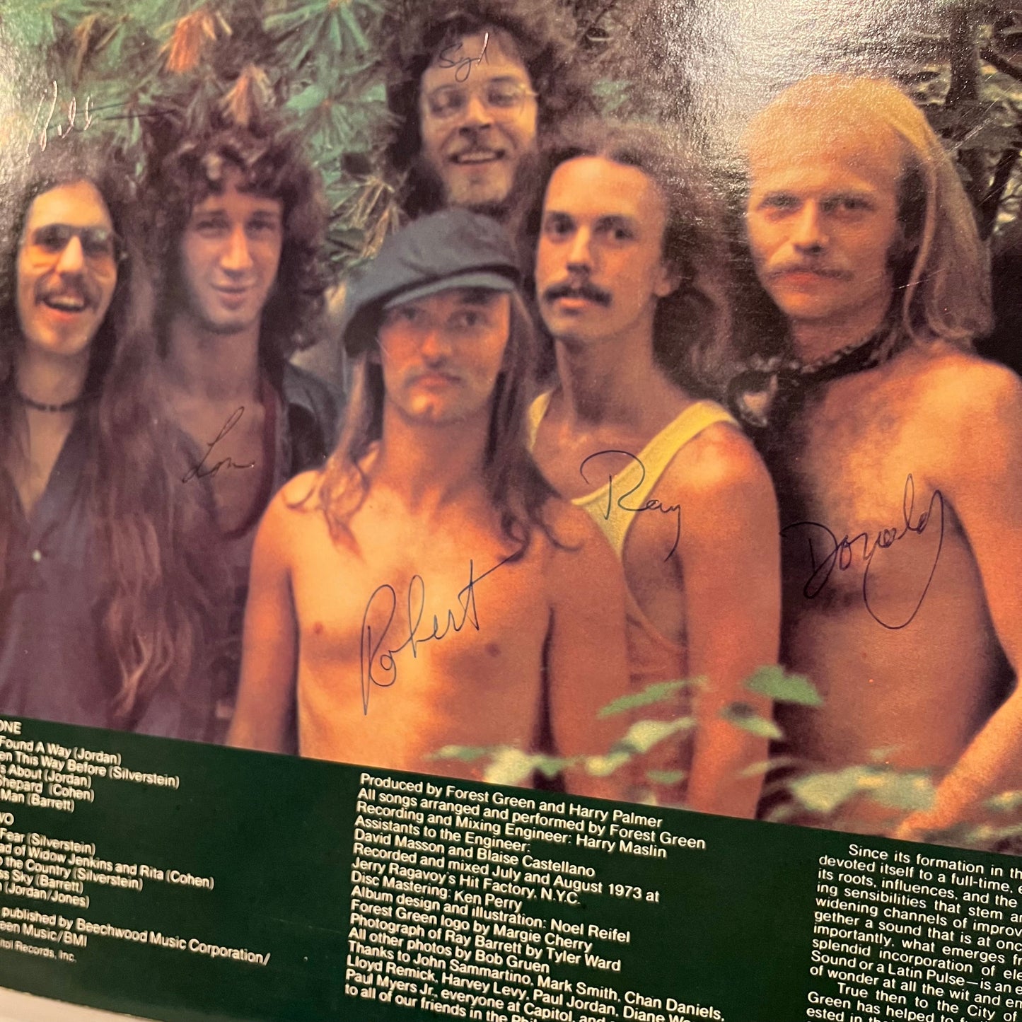 Forest Green | Near Mint (NM) Near Mint (NM) Get Cheap Vinyl