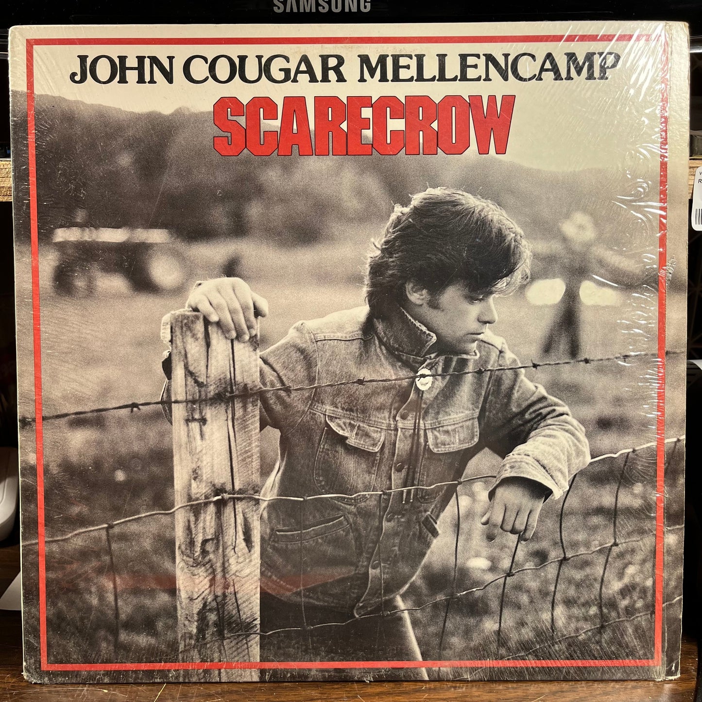 Scarecrow (VINYL) | Near Mint (NM) Near Mint (NM) Get Cheap Vinyl