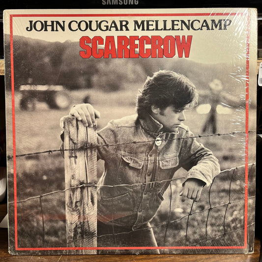 Scarecrow (VINYL) | Near Mint (NM) Near Mint (NM) Get Cheap Vinyl