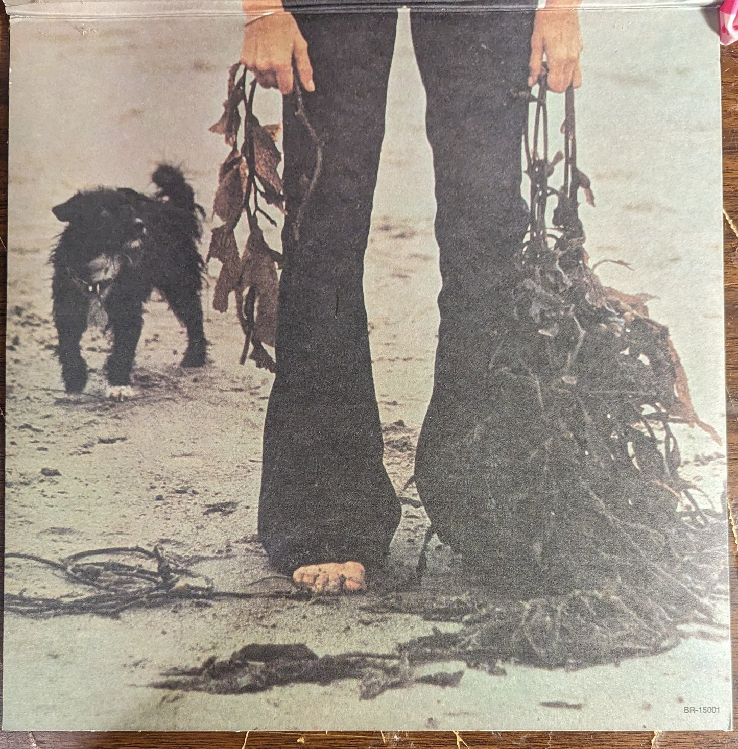 Let's Spend The Night Together | Near Mint (NM) Excellent (EX) Get Cheap Vinyl