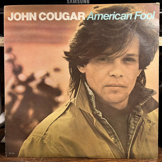 American Fool (VINYL) | Near Mint (NM) Excellent+ (EX+) Get Cheap Vinyl