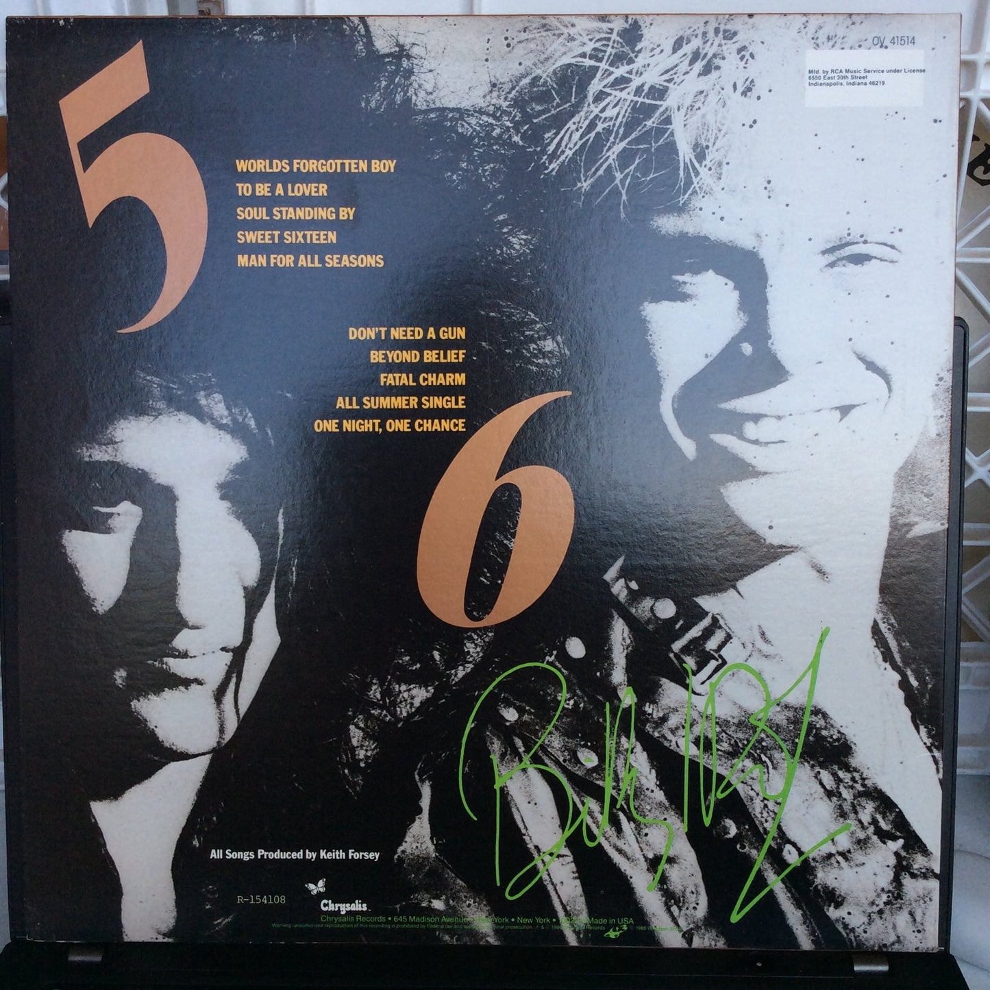 Whiplash Smile (VINYL) | Near Mint (NM) Near Mint (NM) Get Cheap Vinyl