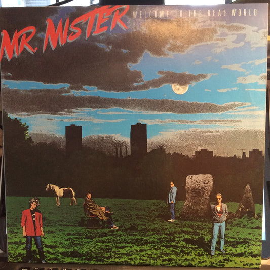 Welcome To The Real World (VINYL) | Near Mint (NM) Near Mint (NM) Get Cheap Vinyl