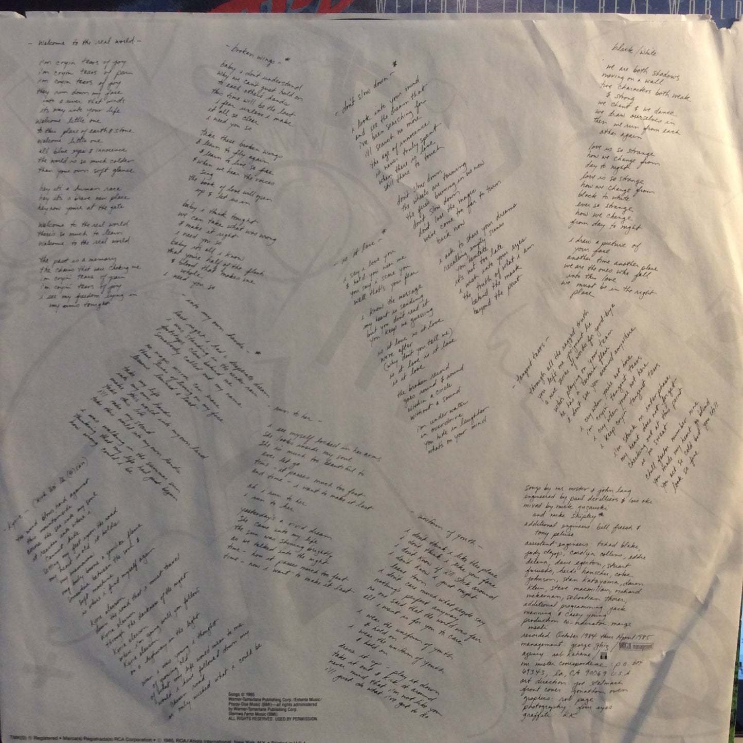 Welcome To The Real World (VINYL) | Near Mint (NM) Near Mint (NM) Get Cheap Vinyl