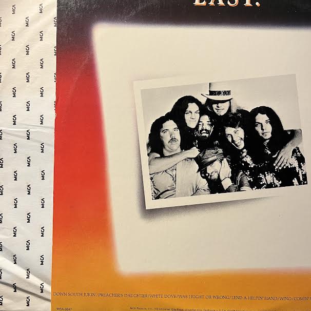 Skynyrd's First And... Last (VINYL) | Near Mint (NM) Near Mint (NM) Get Cheap Vinyl