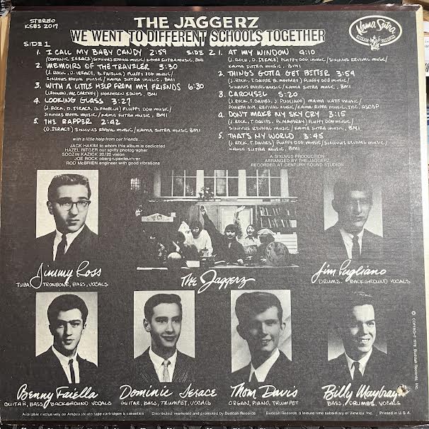 We Went To Different Schools Together (VINYL) | Near Mint (NM or M-) Excellent (EX) Get Cheap Vinyl