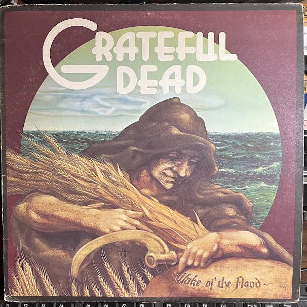 Wake Of The Flood (VINYL) | Very Good Plus (VG+) Very Good Plus (VG+) Get Cheap Vinyl