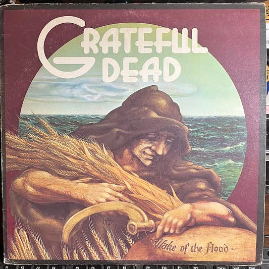 Wake Of The Flood (VINYL) | Very Good Plus (VG+) Very Good Plus (VG+) Get Cheap Vinyl