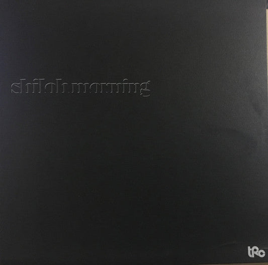 Shiloh Morning | Very Good (VG) Excellent (EX) Get Cheap Vinyl