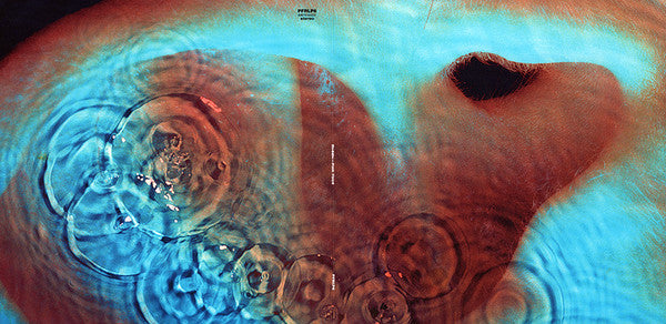 Meddle (VINYL) | Mint (M) Mint (M) Get Cheap Vinyl