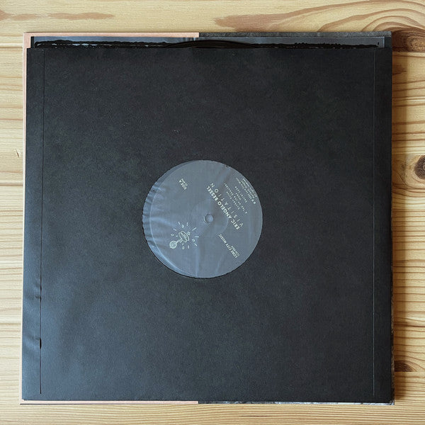 Visitation | Mint (M) Mint (M) Get Cheap Vinyl