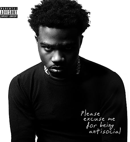 Please Excuse Me For Being Antisocial [Explicit Content] (2 Lp's) | Mint (M) Mint (M) Get Cheap Vinyl