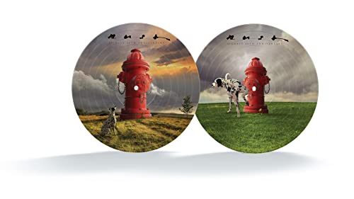 Signals (LTD 40th Anniversary Picture Disc) | Mint (M) Mint (M) Get Cheap Vinyl