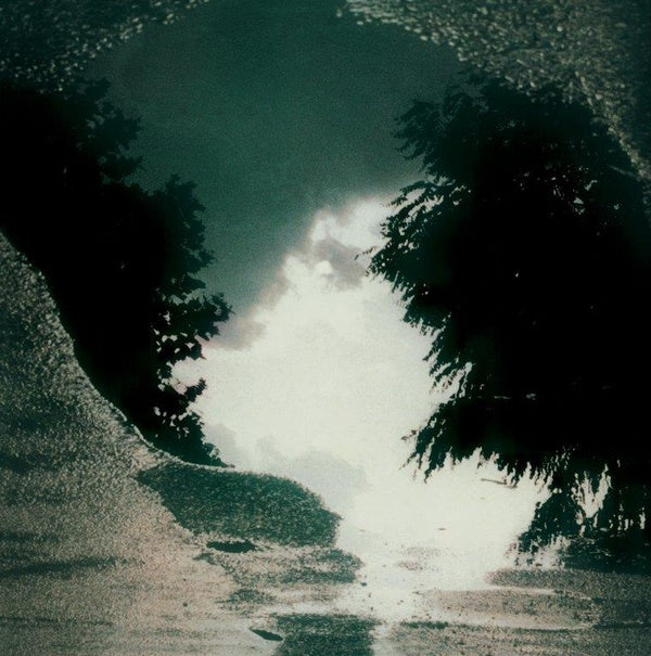 Feeding The Flame | Mint (M) Mint (M) Get Cheap Vinyl