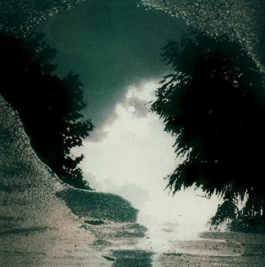 Feeding The Flame | Mint (M) Mint (M) Get Cheap Vinyl