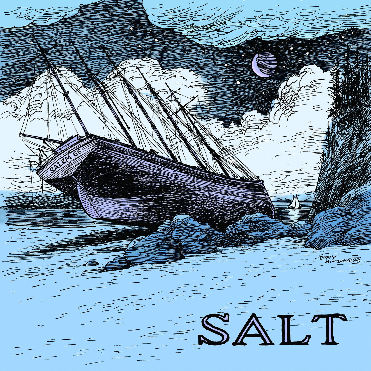 Salt (CD) | Mint (M) Mint (M) Get Cheap Vinyl