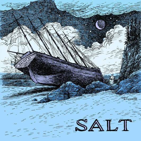 Salt (CD) | Mint (M) Mint (M) Get Cheap Vinyl