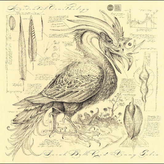 Accidental Ornithology | Get Cheap Vinyl