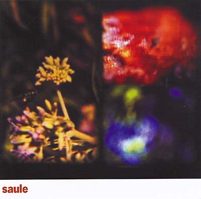 Saule | Get Cheap Vinyl