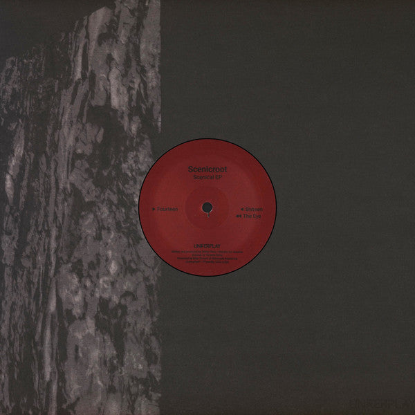 Scenical EP | Mint (M) Mint (M) Get Cheap Vinyl