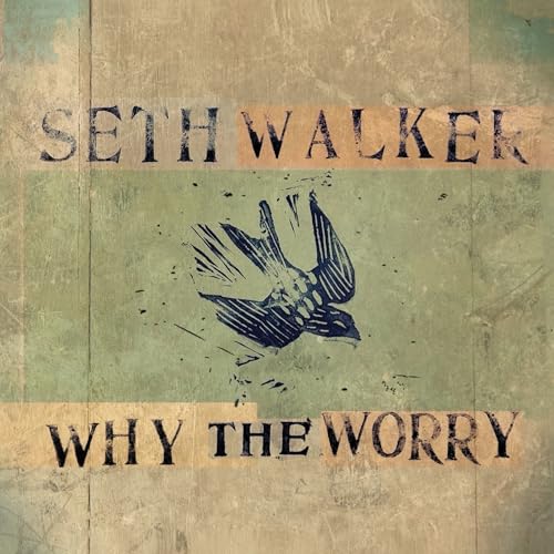 Why The Worry | Get Cheap Vinyl